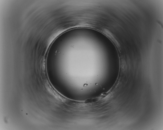 X0000100351292200806061105