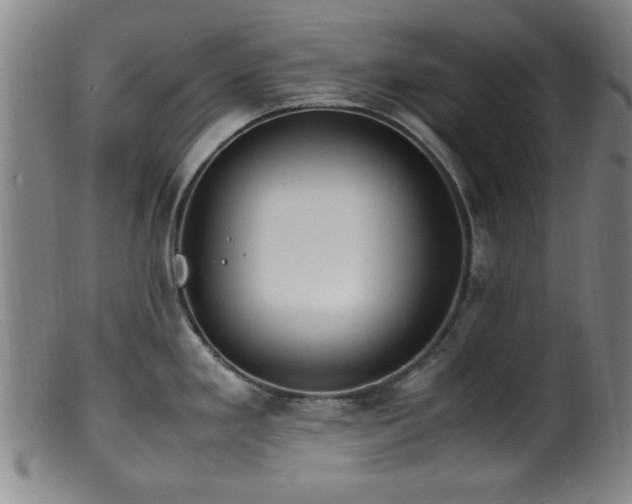 X0000100351293200806061105