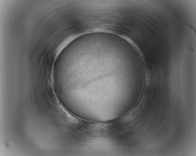 X0000100351294200806061105