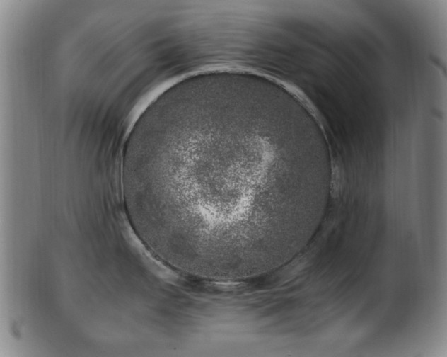 X0000100351295200806061105