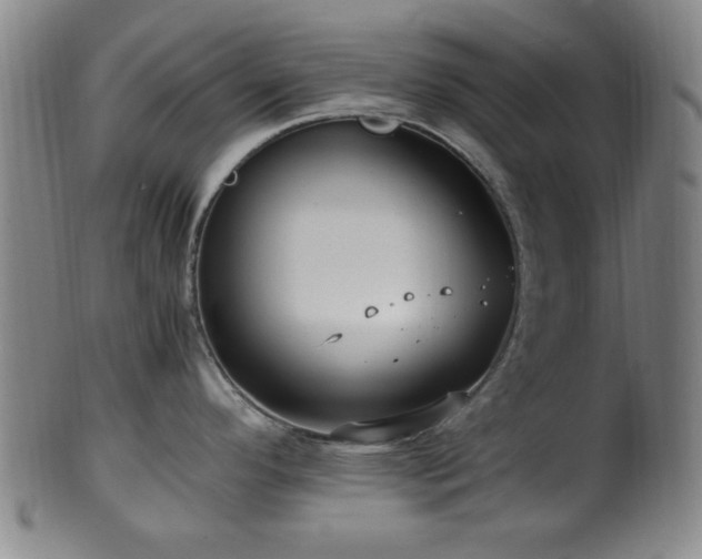 X0000100351296200806061105
