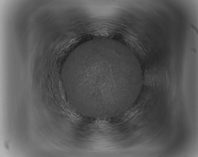 X0000100351297200806061105