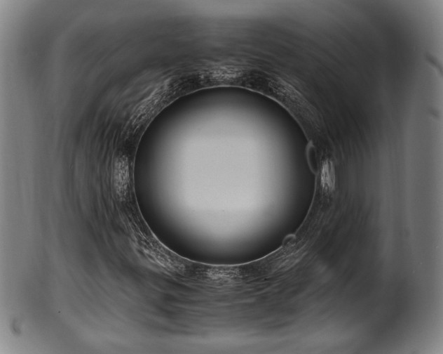X0000100351299200806061105