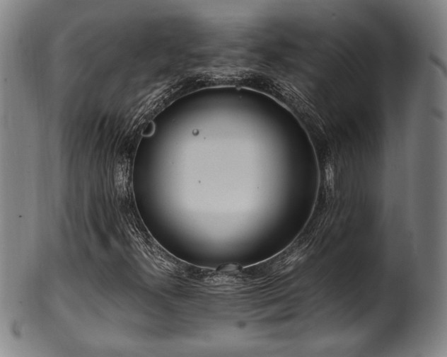 X0000100351300200806061105