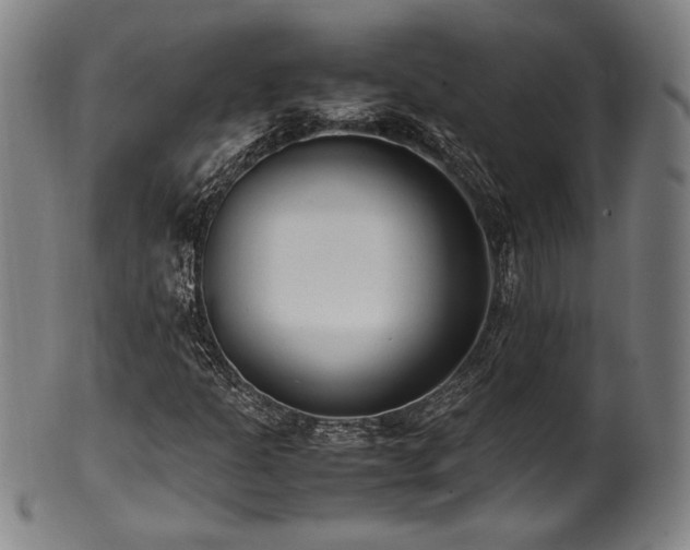 X0000100351301200806061105