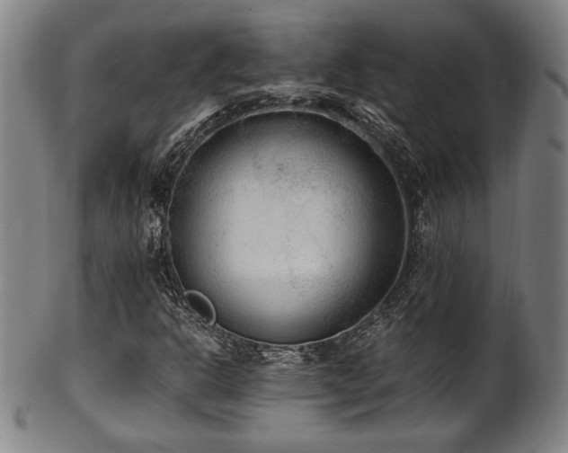 X0000100351302200806061105