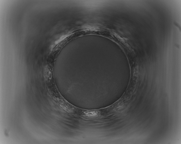 X0000100351303200806061105