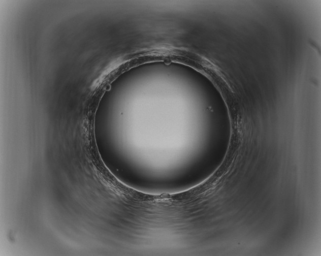 X0000100351304200806061105
