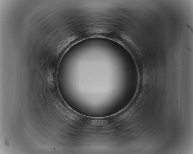 X0000100351305200806061105