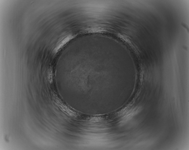 X0000100351306200806061105