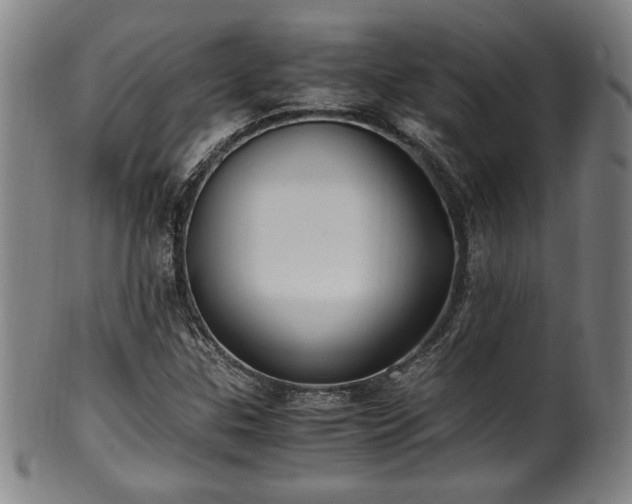 X0000100351307200806061105