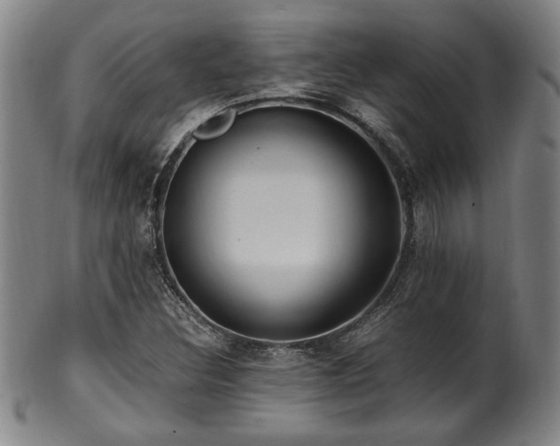 X0000100351308200806061105