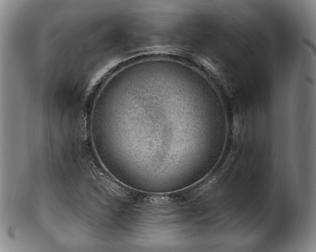 X0000100351310200806061105