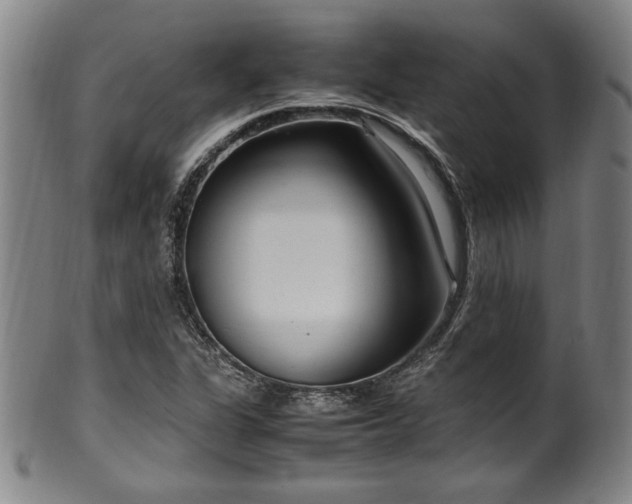 X0000100351311200806061105