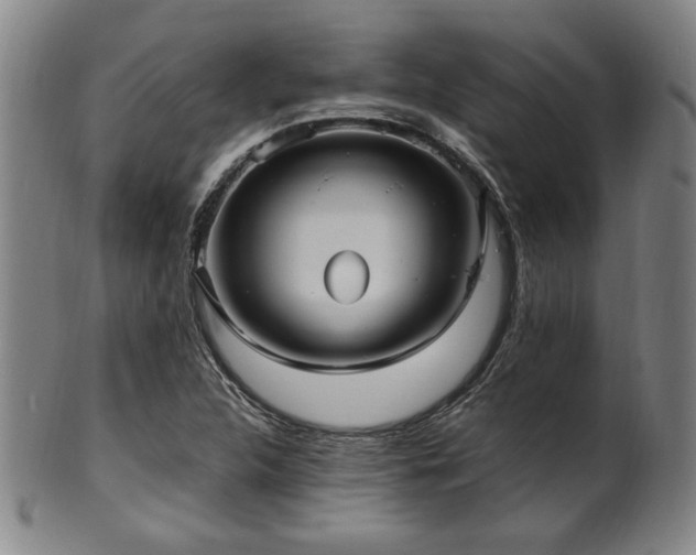 X0000100351312200806061105