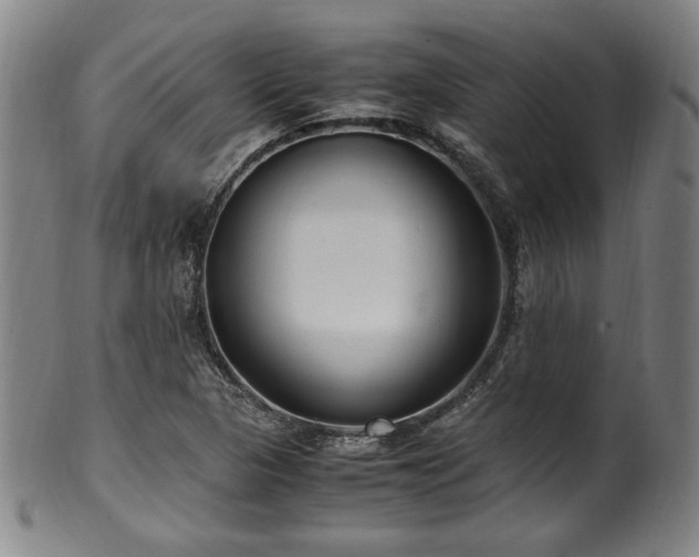 X0000100351313200806061105