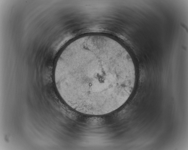 X0000100351314200806061105