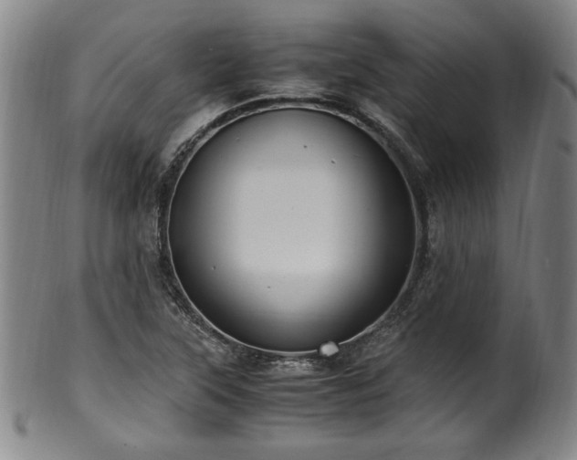 X0000100351315200806061105