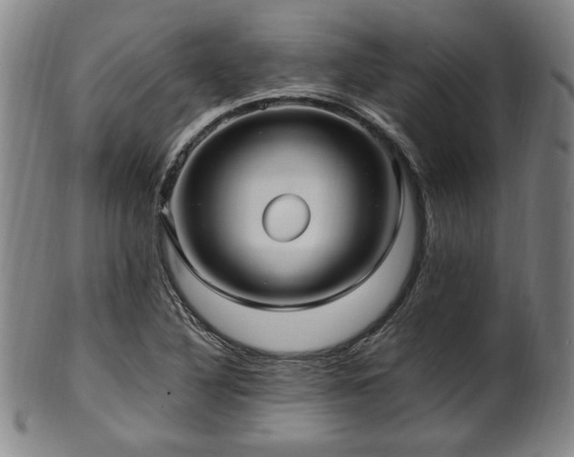X0000100351316200806061105