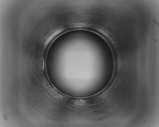 X0000100351317200806061105