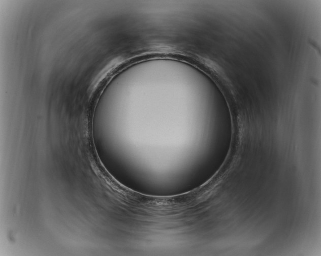 X0000100351318200806061105