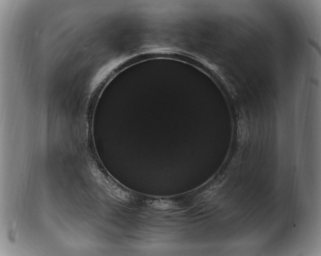 X0000100351319200806061105