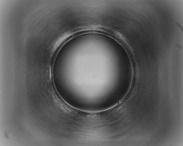 X0000100351320200806061105