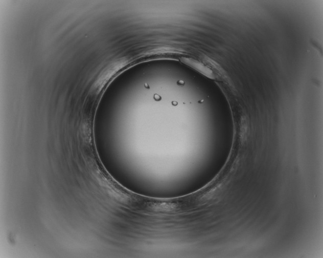 X0000100351321200806061105
