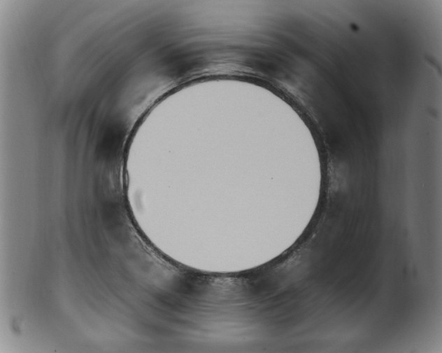 X0000100351322200806061105