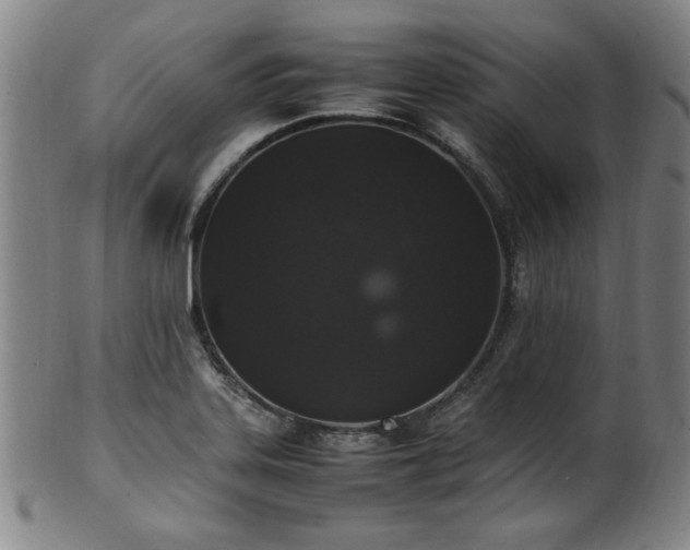 X0000100351323200806061105