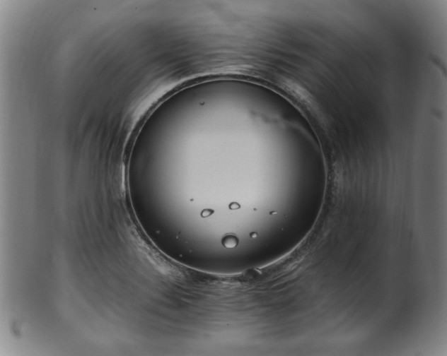 X0000100351324200806061105