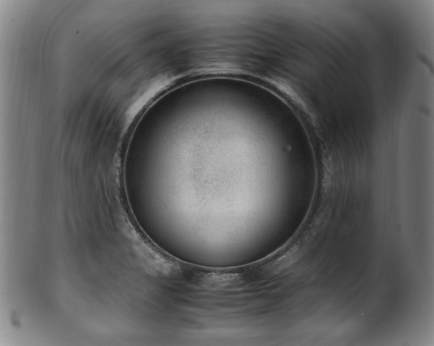 X0000100351325200806061105