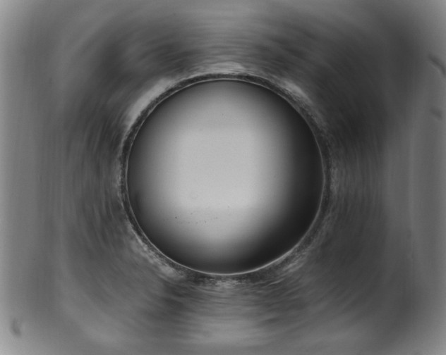 X0000100351326200806061105