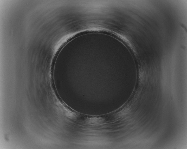X0000100351327200806061105
