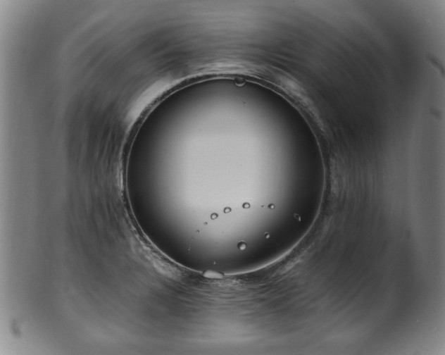 X0000100351328200806061105