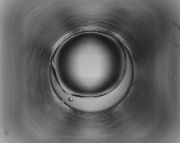 X0000100351330200806061105