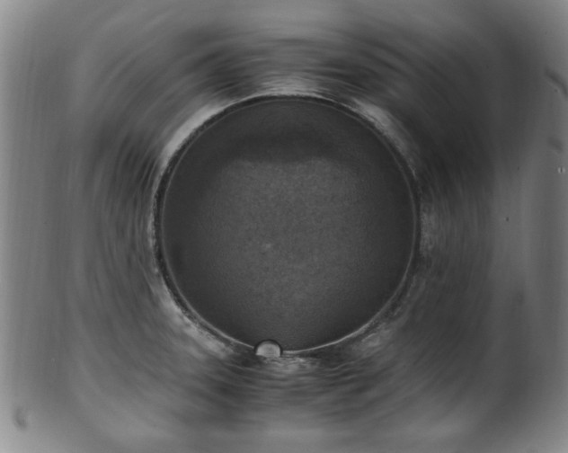 X0000100351331200806061105