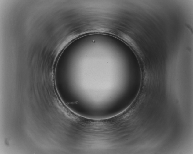 X0000100351332200806061105