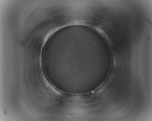 X0000100351334200806061105