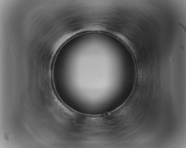 X0000100351335200806061105