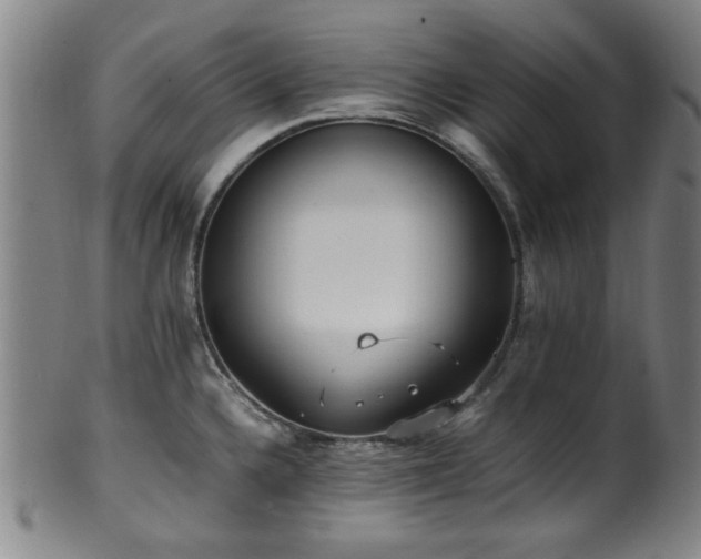 X0000100351336200806061105