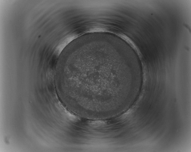 X0000100351337200806061105