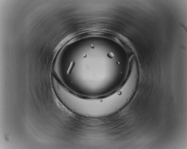 X0000100351338200806061105