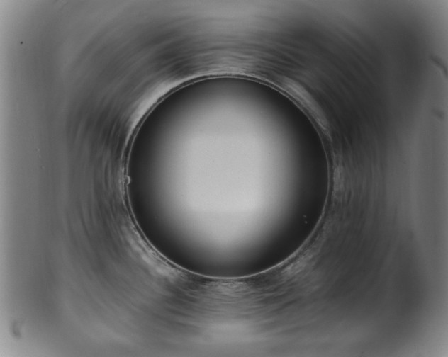 X0000100351340200806061105