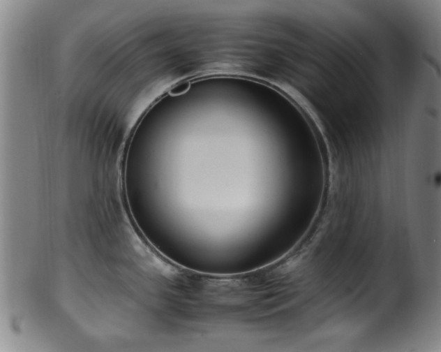 X0000100351341200806061105