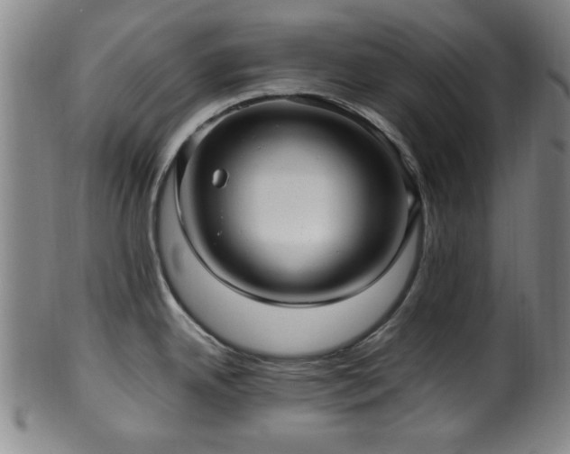 X0000100351342200806061105