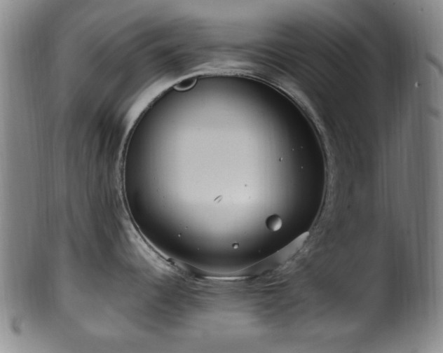 X0000100351344200806061105