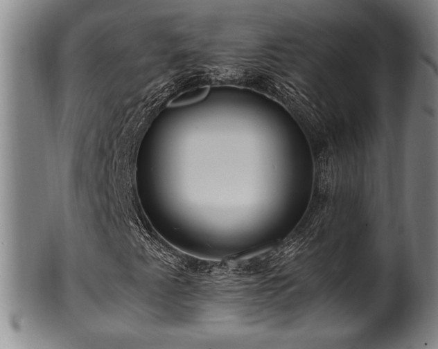 X0000100351345200806061105