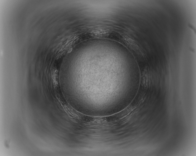 X0000100351346200806061105