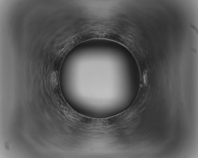 X0000100351347200806061105